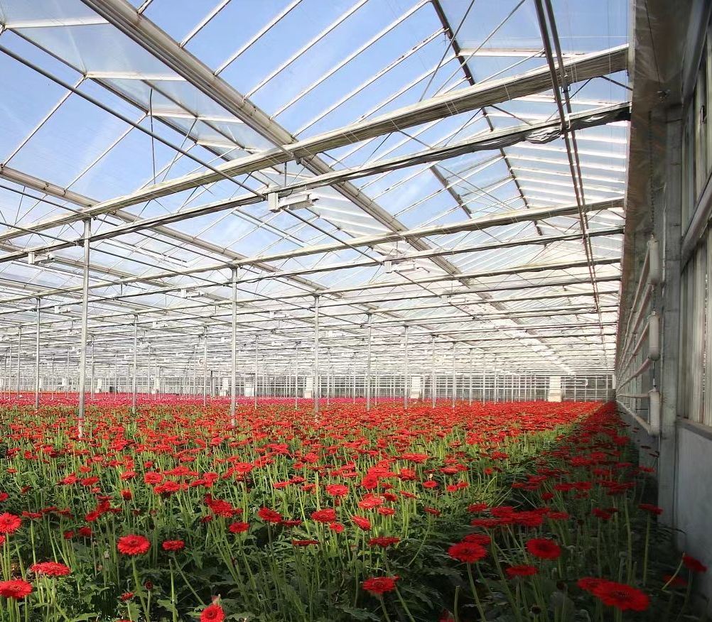Venlo Hollow Double Layer Tempered Glass Greenhouse with Hydroponics Growing System