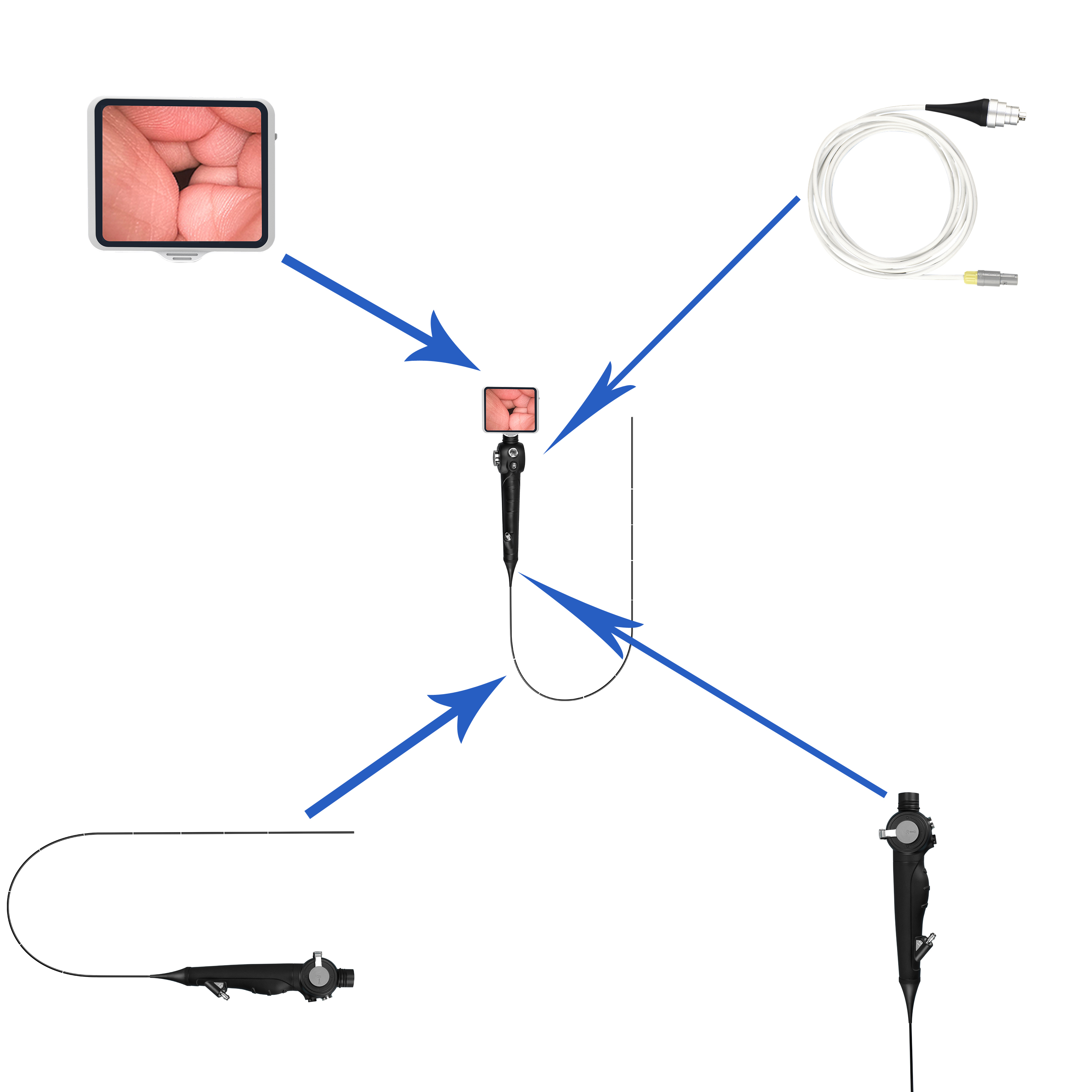 Portable Flexible Endoscope Video Camera For Small Animal Gastroscope And Colonoscope