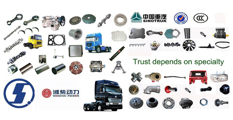 High Quality Sinotruk HOWO Wechai Engine Tensioner Pulley Vg2600060313