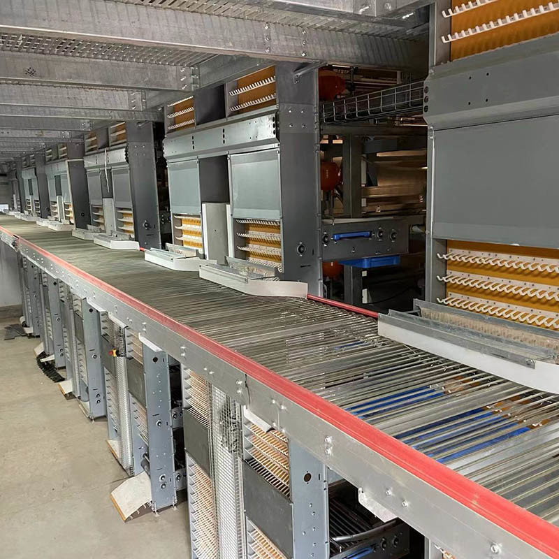 Poultry Farm H Type Layer Cage 25.5 * 24.5'' Better FCR ISO9001