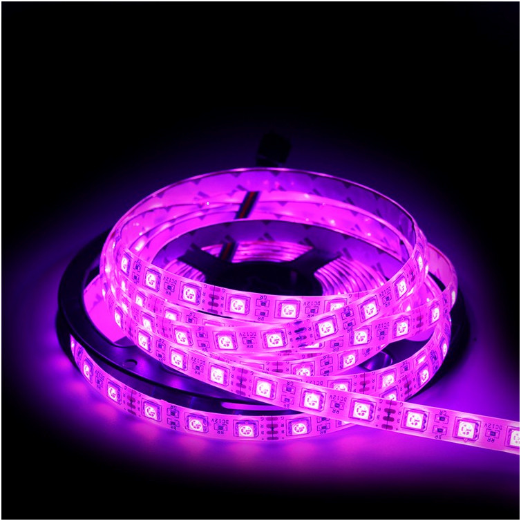 12V 5050 300 leds Waterproof 100m RGB LED Strip light for Outdoor Indoor with 3M tape 3 Year Warranty