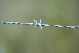 Protecting Mesh 500m Electric Hot Dipped Galvanized Barbed Wire with Electro Galvanized
