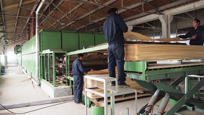Engineered Wood Veneer Persia Wood Veneer Sliced Cut Technics