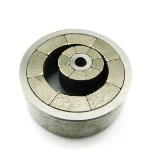 China High Permanent Customized Magnetic Assembly on sale