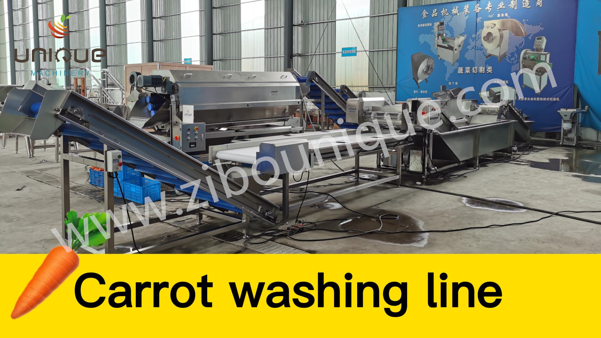 Cut Leafy Vegetables Industrial Automatic Cabbage Slicer Coleslaw Kimchi Cutting Machine