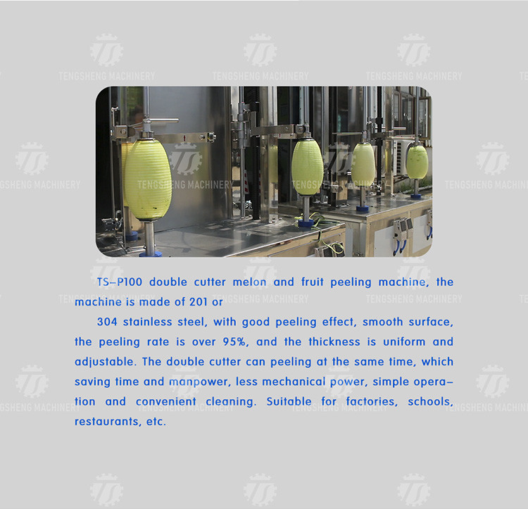 Membrane Unpicked Crackless Fruit And Vegetable Peeler Machine 2 Heads White Gourd