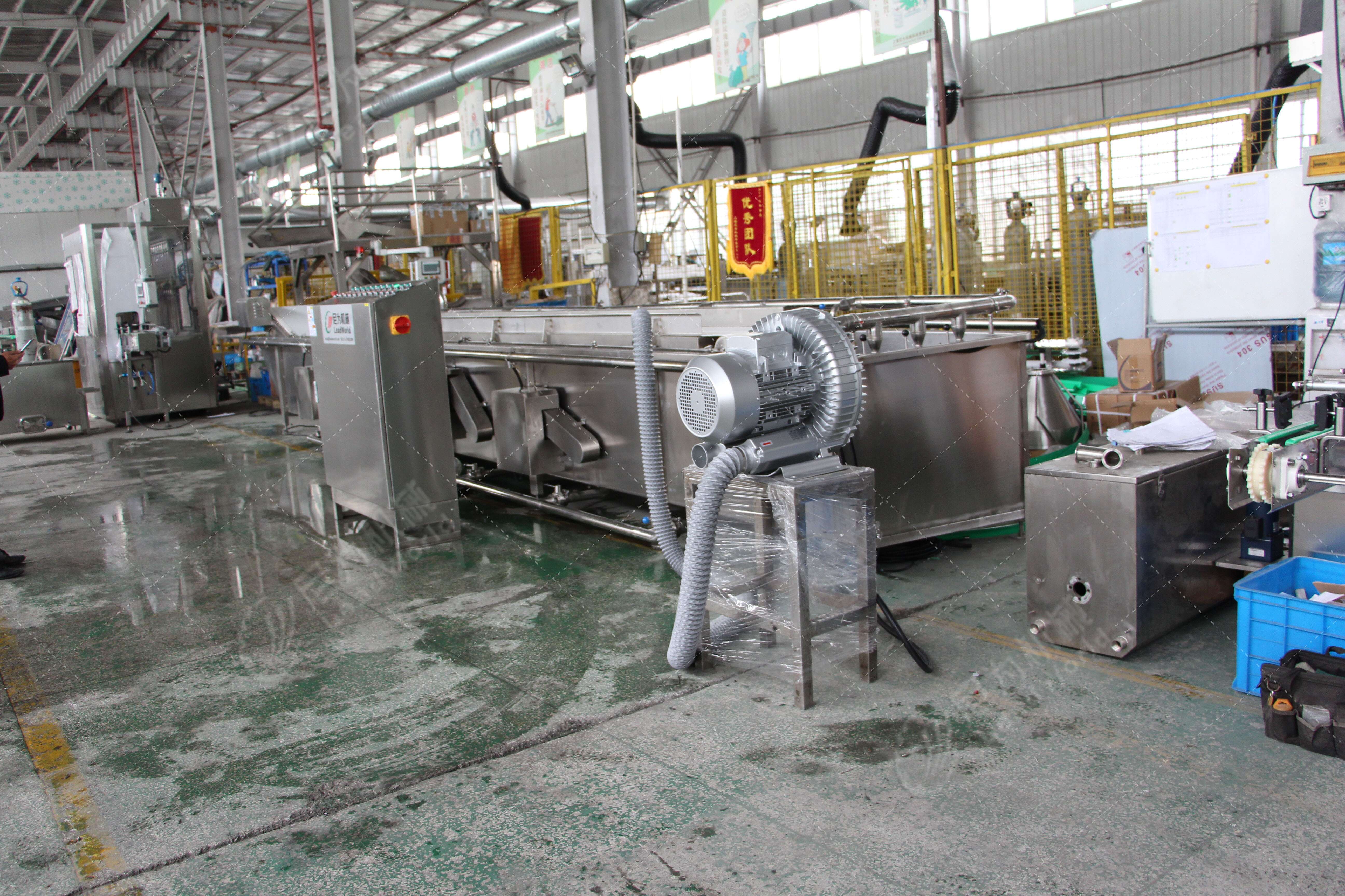 Leafy Vegetables And Fruits Cleaning Lettuce Washer Potatoes Washing Machine