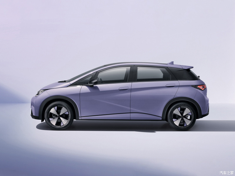 BYD Dolphin 2023 420KM Fashion Version Compact SUV Pure Electric Permanent Magnet
