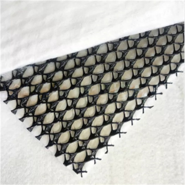 50m/100m Length HDPE Mesh 3D Composite Drainage Composite Geo Net in Black White