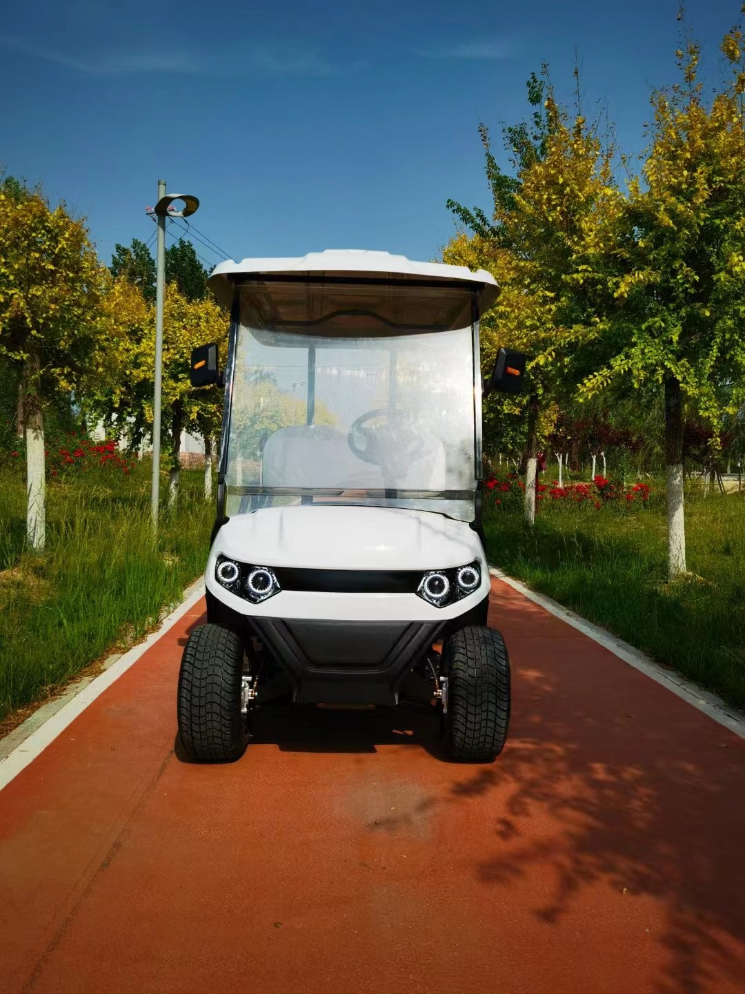 Customized Off Road White 6 Seaters Golf Cart With AC Motor 3.5 KW Lead Acid Battery