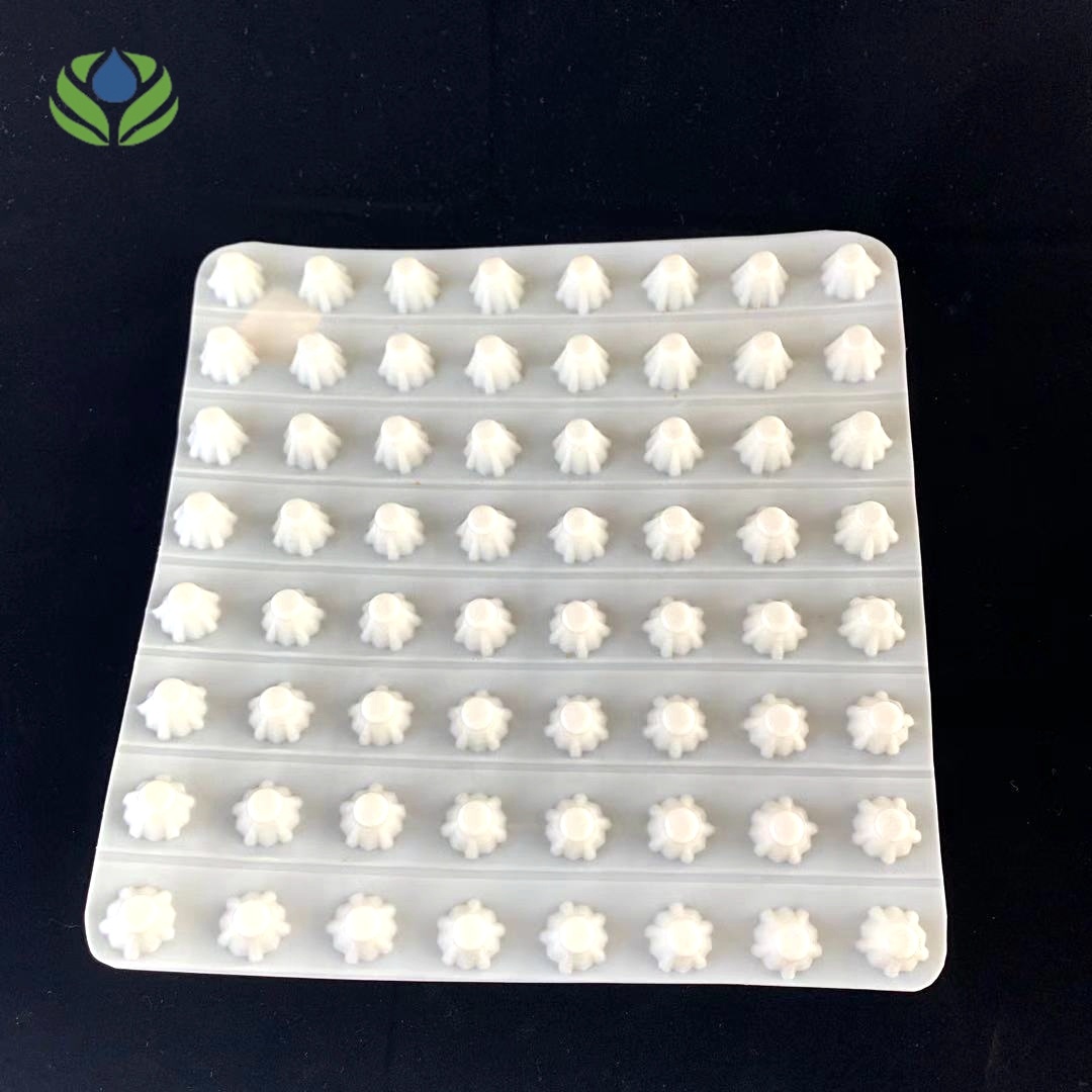 Green Roof HDPE Dimpled Drainage Sheet 2m Length 12-60mm Thickness Earthwork Product