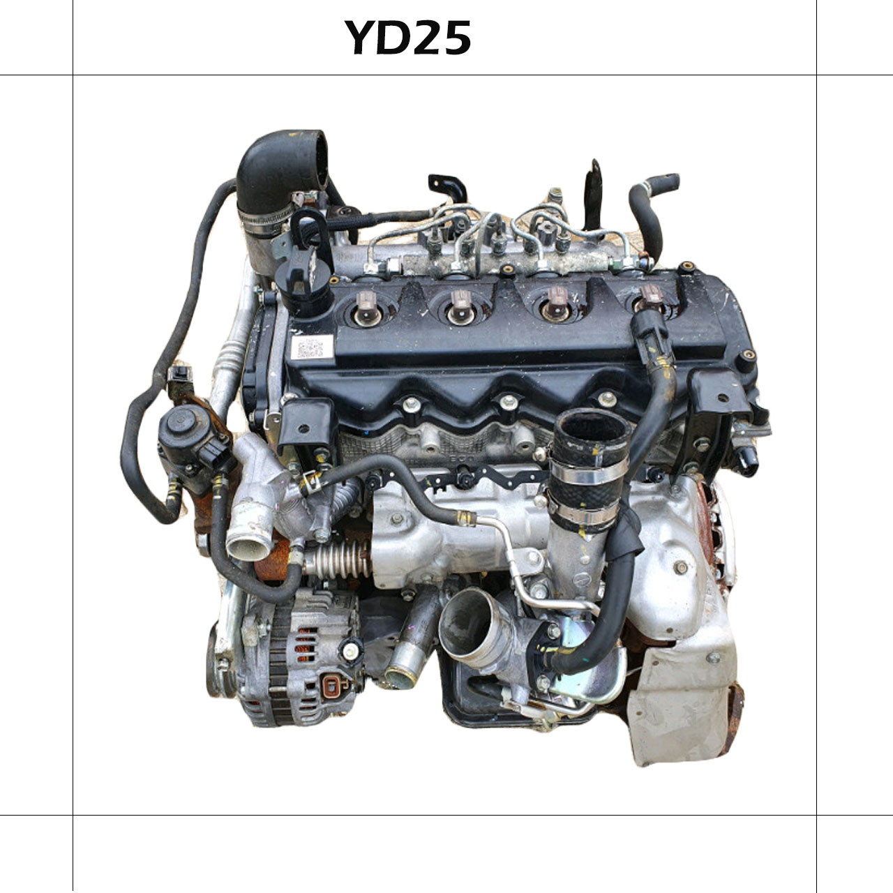 Used Genuine YD25 DDTI Car Engine Used For Navara Good Condition