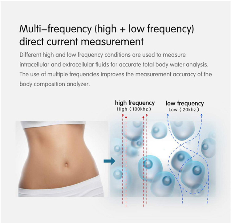 SH-FM1 3D Professional Bioimpedancia Body Composition Analyzer Machine Body Composition Analyzer for beauty salon