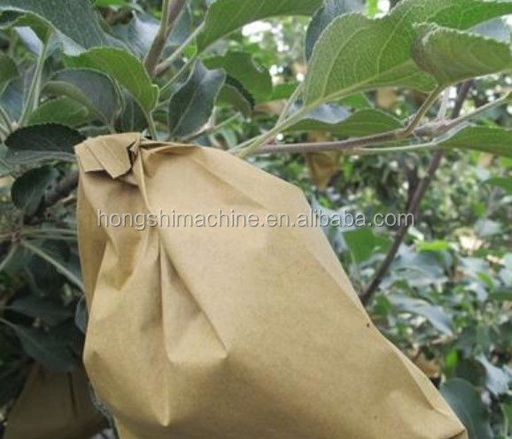 Mango Fruit Protection Paper Bag Making Machine , 2cm To 35cm Paper Pouch Making Machine