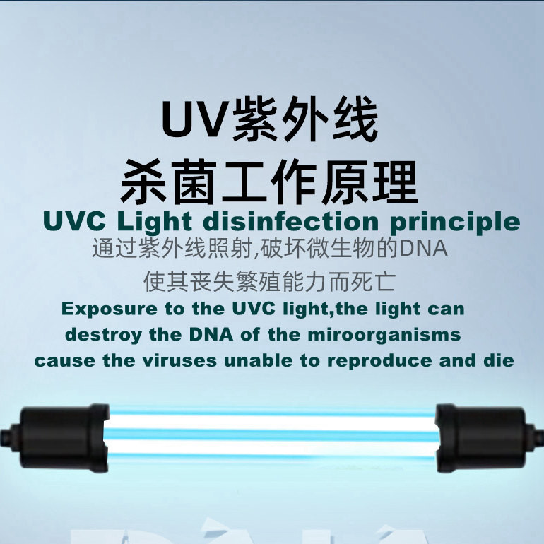Toothbrush Cold Cathode Lamp UV light Deodorization Mobile Phone