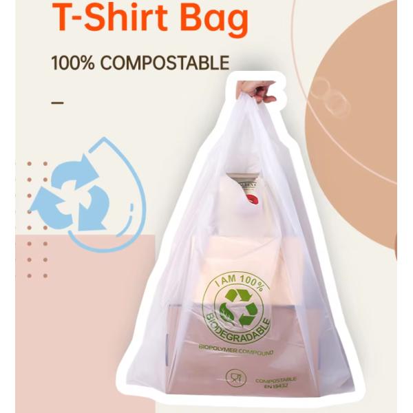 Quality Flexiloop Handle Compostable Mailing Bag with Custom Printing PLA and PBAT Material Structure for sale