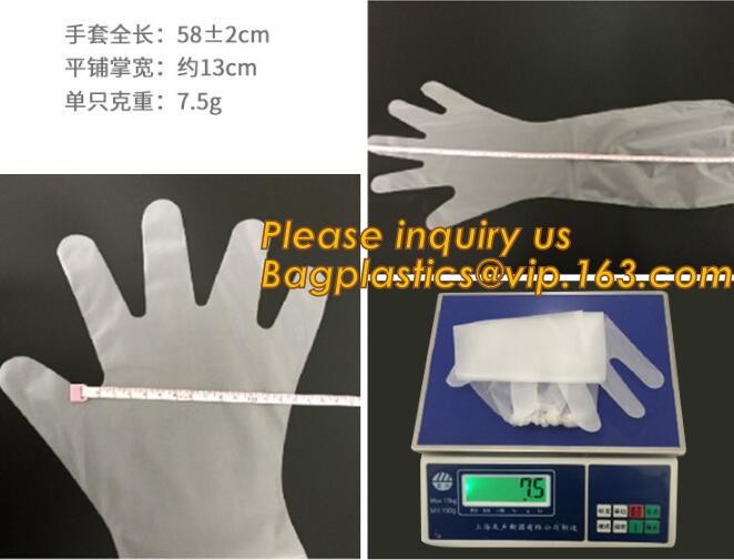 Disposal sharp container for store and dispose of medical waste,Cheap Disposable Plastic Medical Sharp Safe Container 1L