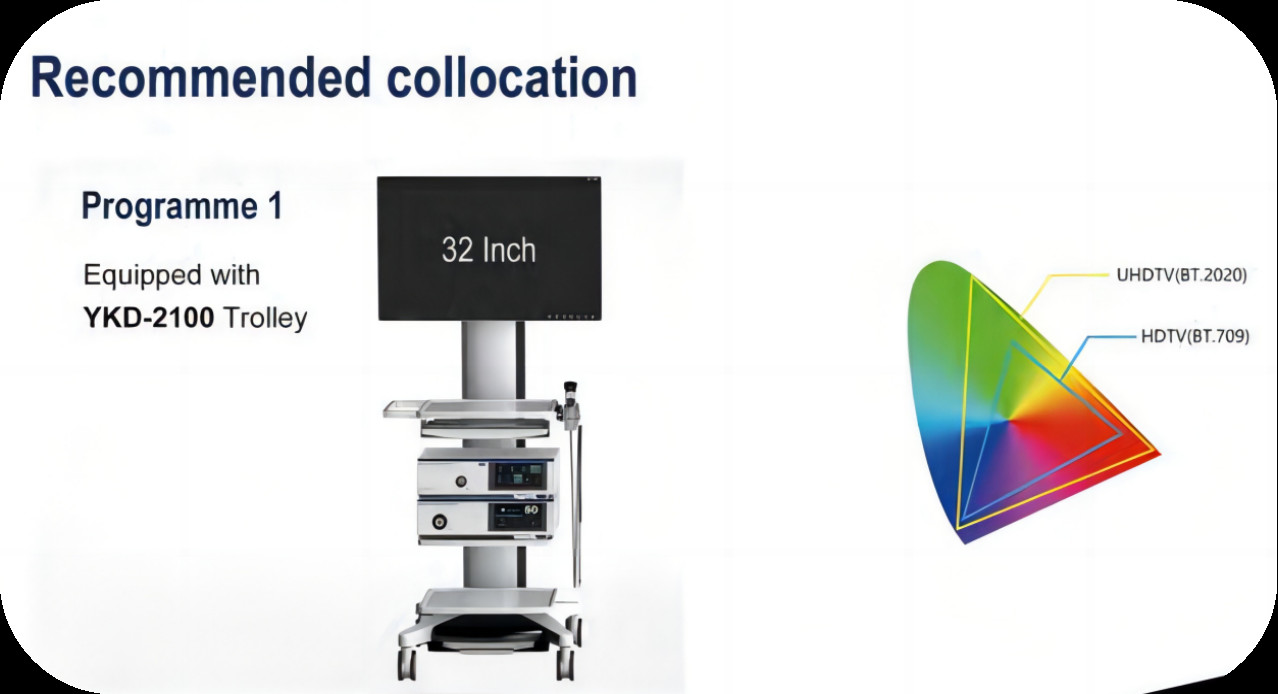 22 Inch Monitor Full HD Endoscope Camera 80W LED Cold Light Source BTH-9122H