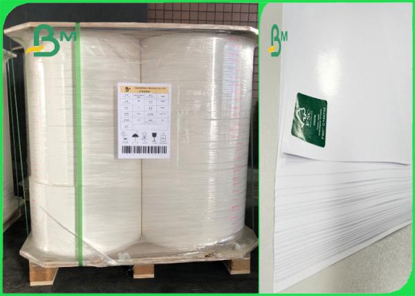 Food Grade 70 / 78 Gsm With 10 / 15gsm PE Non - Stick Food Woodfree Paper In