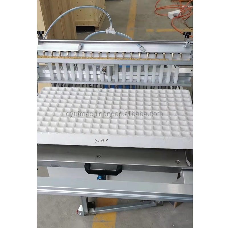 Customised 600*700*800mm Professional Pumpkin Seeds Tray Seeder for Nursery Planting