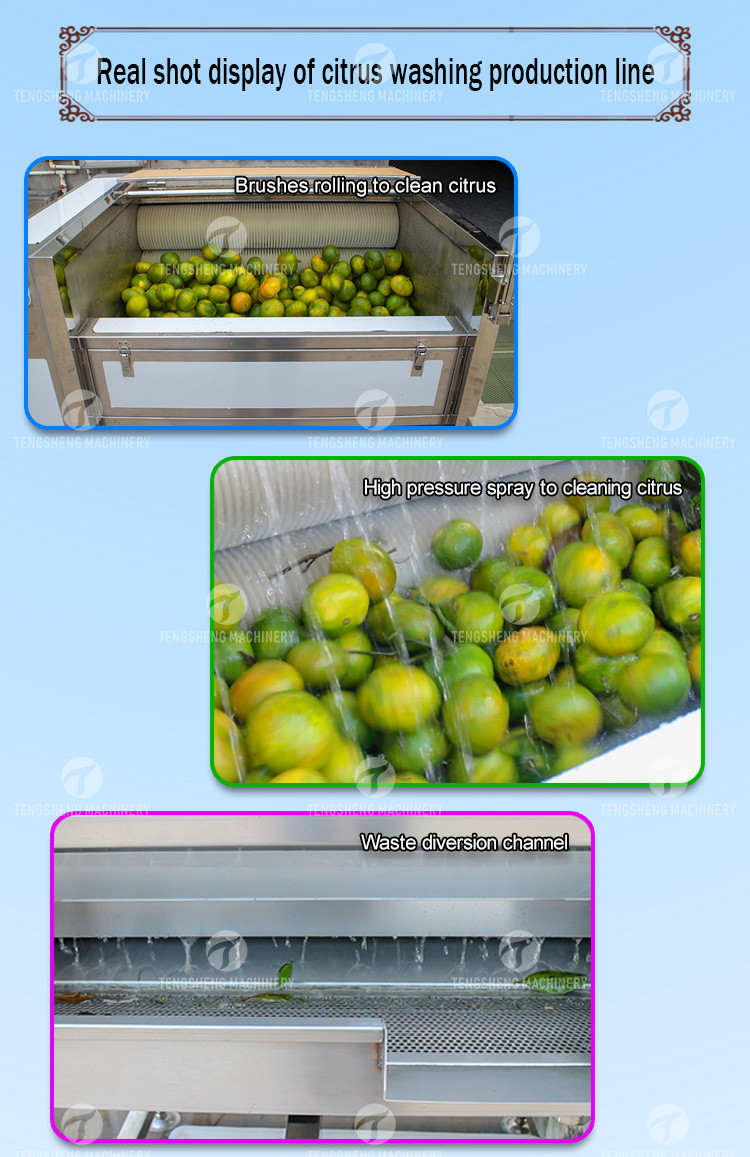 Citrus Stalk Eliminated Lemon Processing Machinery Industrial Air Bubble Brush