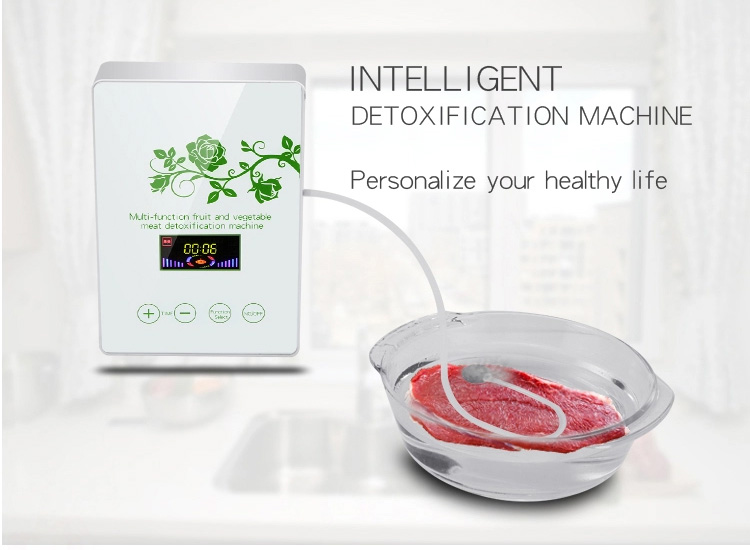 Homefish Glass Panel Portable Fruit Vegetable Sterilizing Intelligent Multifunction Machine 400mg/h Ozone Generator for Kitchen