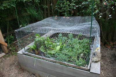 Hdg Galvanized Woven Hexagonal 4.0mm Welded Gabion Cage Boxes