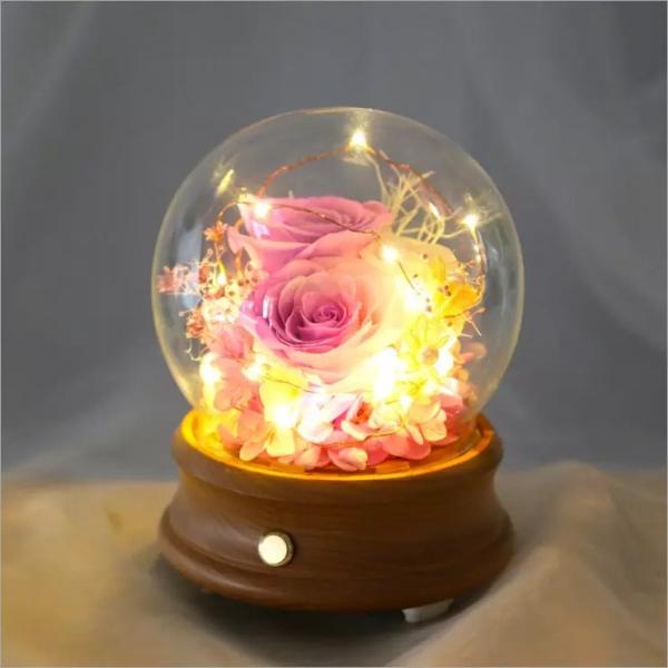 Wholesale Rose Preserved Flower in Glass Dome Flower for Valentines Day rose