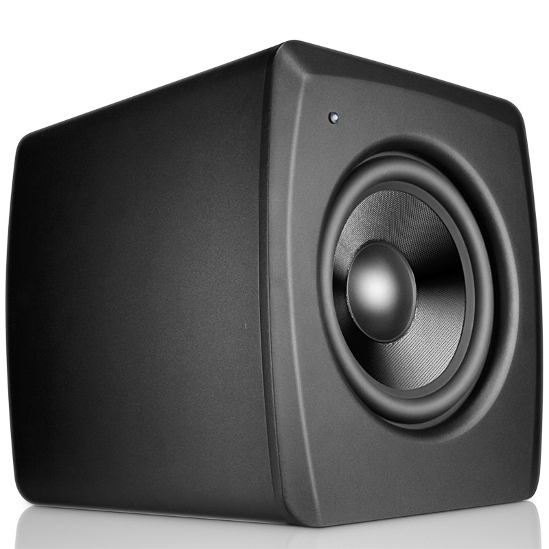 200W 10 Inch Subwoofer Speaker Powered Home Audio Speakers With Dual Audio Inputs
