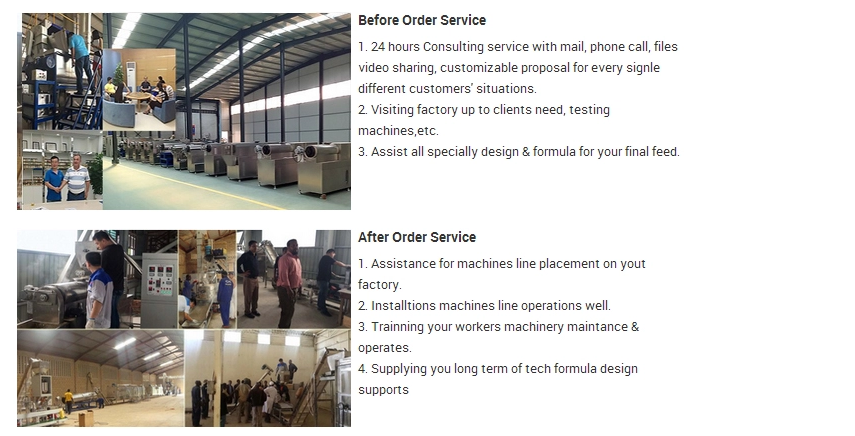 Small Dry Pedigree Dog Food Pellet Extrusion Equipment with Delta Inverter Technology