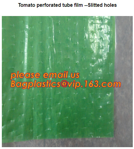 Multi-Span Plastic Film Cover Natural Ventilation Vegetable Greenhouse,Greenhouse Kits Plastic Greenhouse 200 micron gre