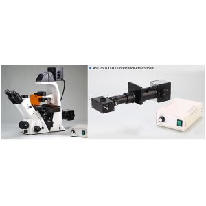 20x / 40x Annular Spot Inverted Optical Microscope Trinocular A14.2605