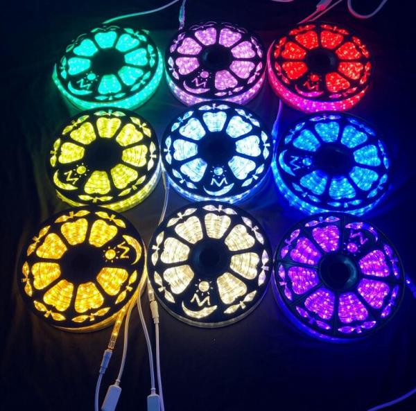 2-wire new arrival high lumen led rope light Christmas light IP55 outdoor