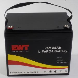LiFePO4 24V Battery Featuring LFP Anode Material and Built-in BMS for Industrial Applications