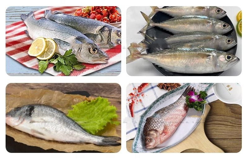 High Power Electric Fish Processing Machine For Fish Scale Removal