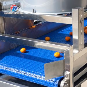 vegetable drying equipment Fruit and vegetable selection washing and drying