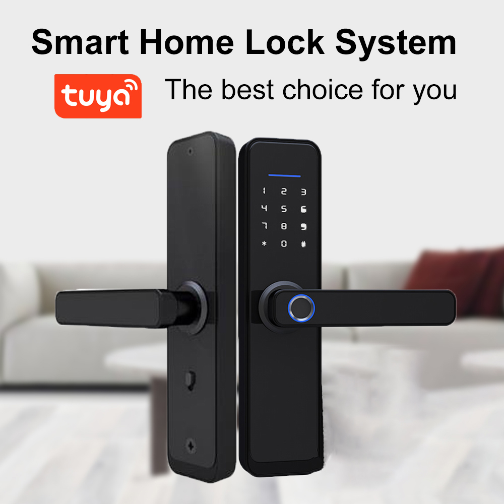 ROHS Black Tuya APP Smart Lock Push Pull Fingerprint door lock