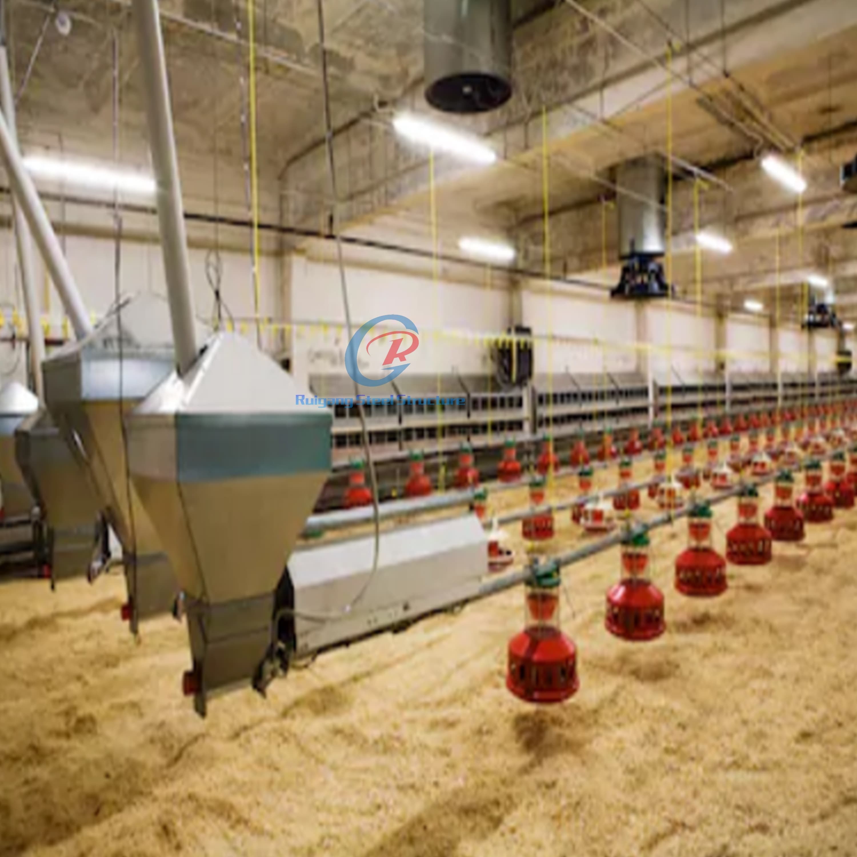 Galvanised Steel Structure Poultry House Customized With Insulated Panels