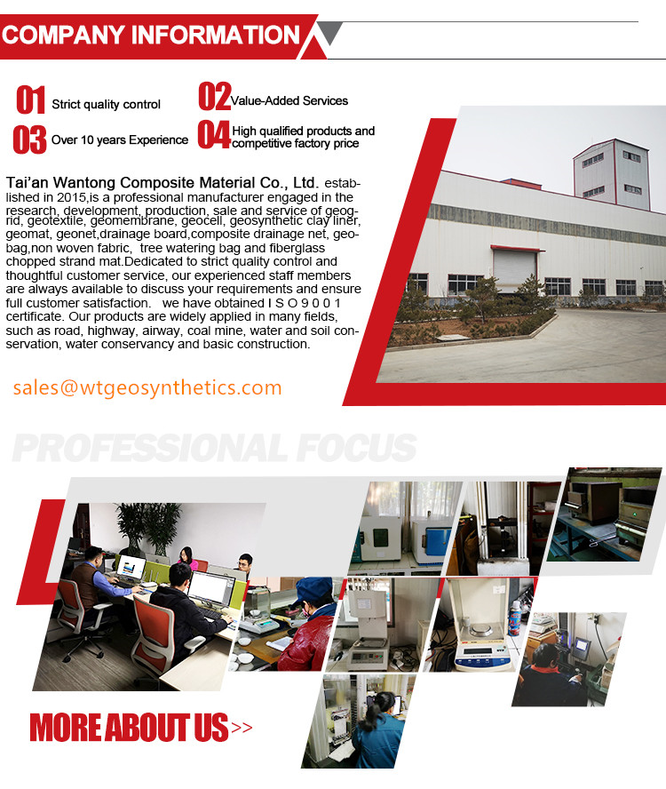 Offers 2mm HDPE Geomembrane with ASTM GRI-GM13 Standard and Online Technical Support
