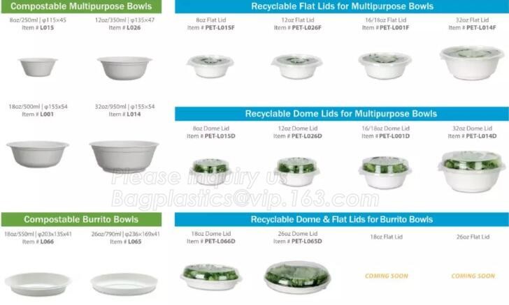 Meal Prep Containers Free Sample Bento Lunch Box Biodegradable Food Container Plastic Wheat Straw Lunch Box bagplastics