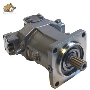 Rustproof AA6VM Hydraulic Piston Motors AA6VM55 AA6VM80 AA6VM107 AA6VM160