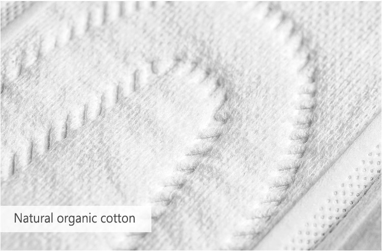 Organic Biodegradable Anion Chip Overnight Sanitary Napkins