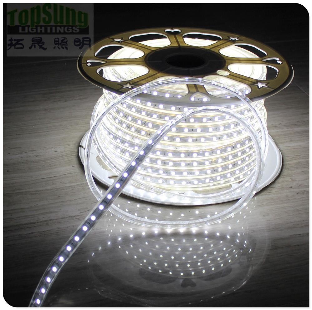 100m 230v AC led strip 5050 waterproof cuttable strips lights flexible blue color