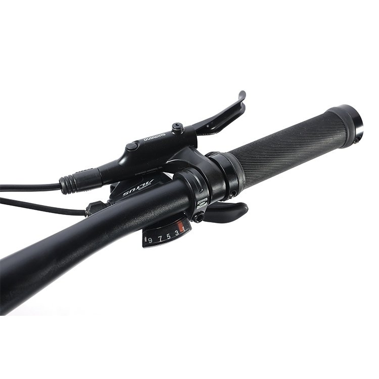 27 Speeds Design Speed Adult 700*35C Flat Bar Road Bike with Customizable Alloy Fork
