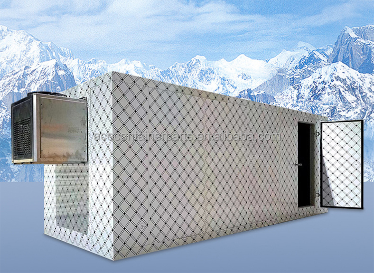Versatile 6x2.2x2.2m Movable 20ft Reefer Container Cold Storage Room with R134a/R404A Refrigerant