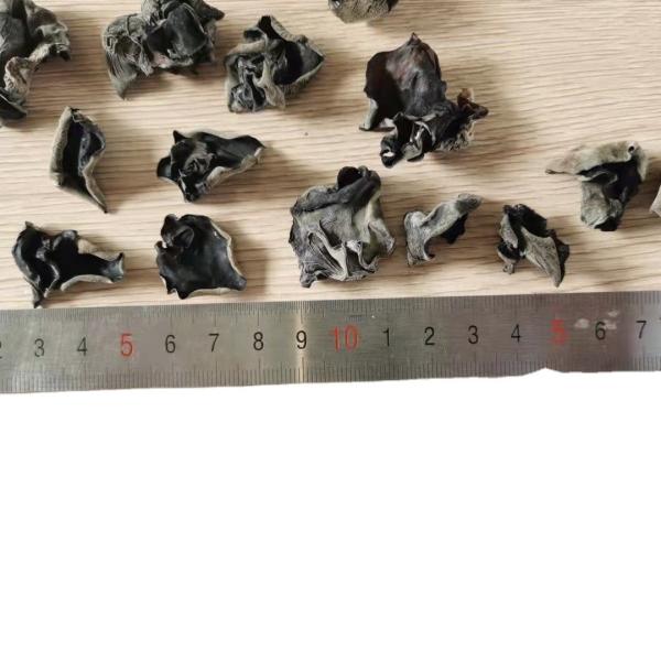 COOL DRIED Storage Type Cultivated Dried Black Fungus for Traditional Chinese
