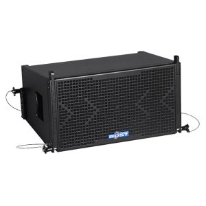  10 inch 2 way line array speaker LA110 Manufactures