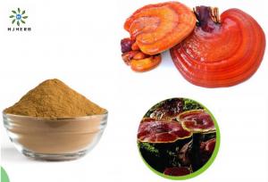  30% Polysaccharide Halal Extract Reishi Mushroom Extract Powder Manufactures