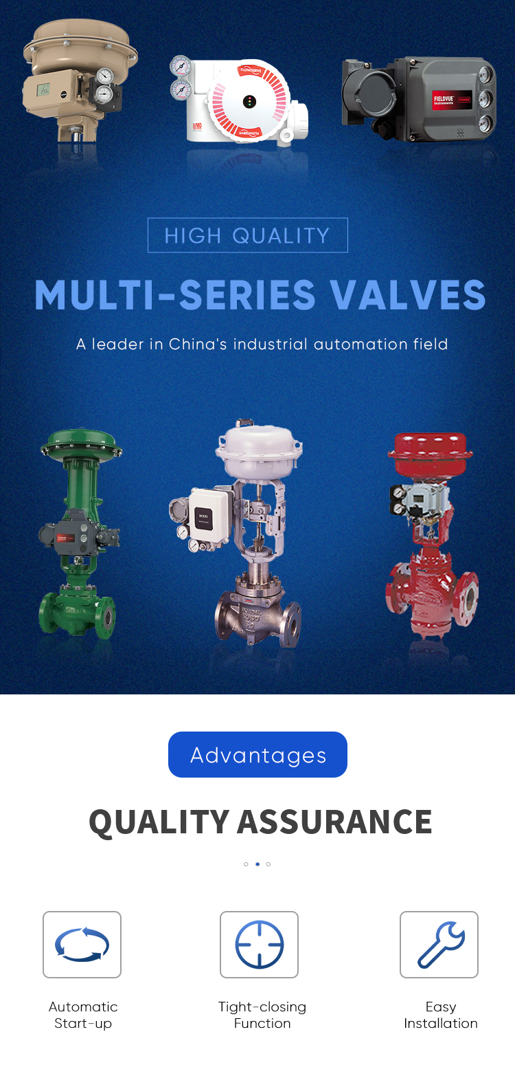Type 488 With High Capacities Spring Loaded Clean Service Safety Valve