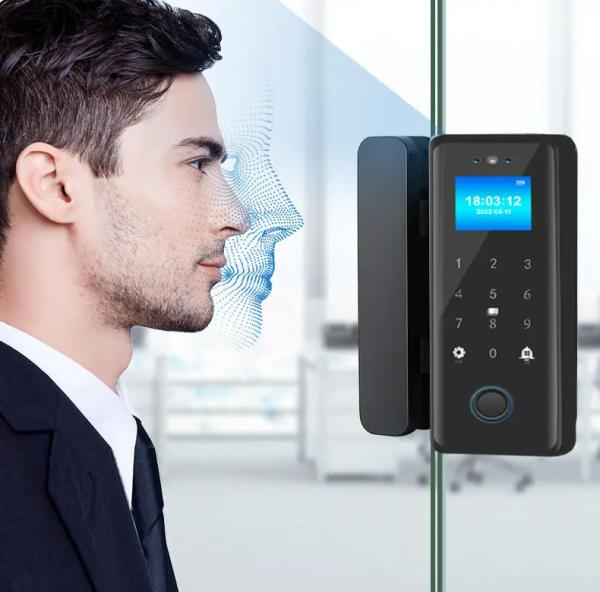 Smart Glass Door Digital Lock 3D Face Fingerprint IC Card Recognition Tuya